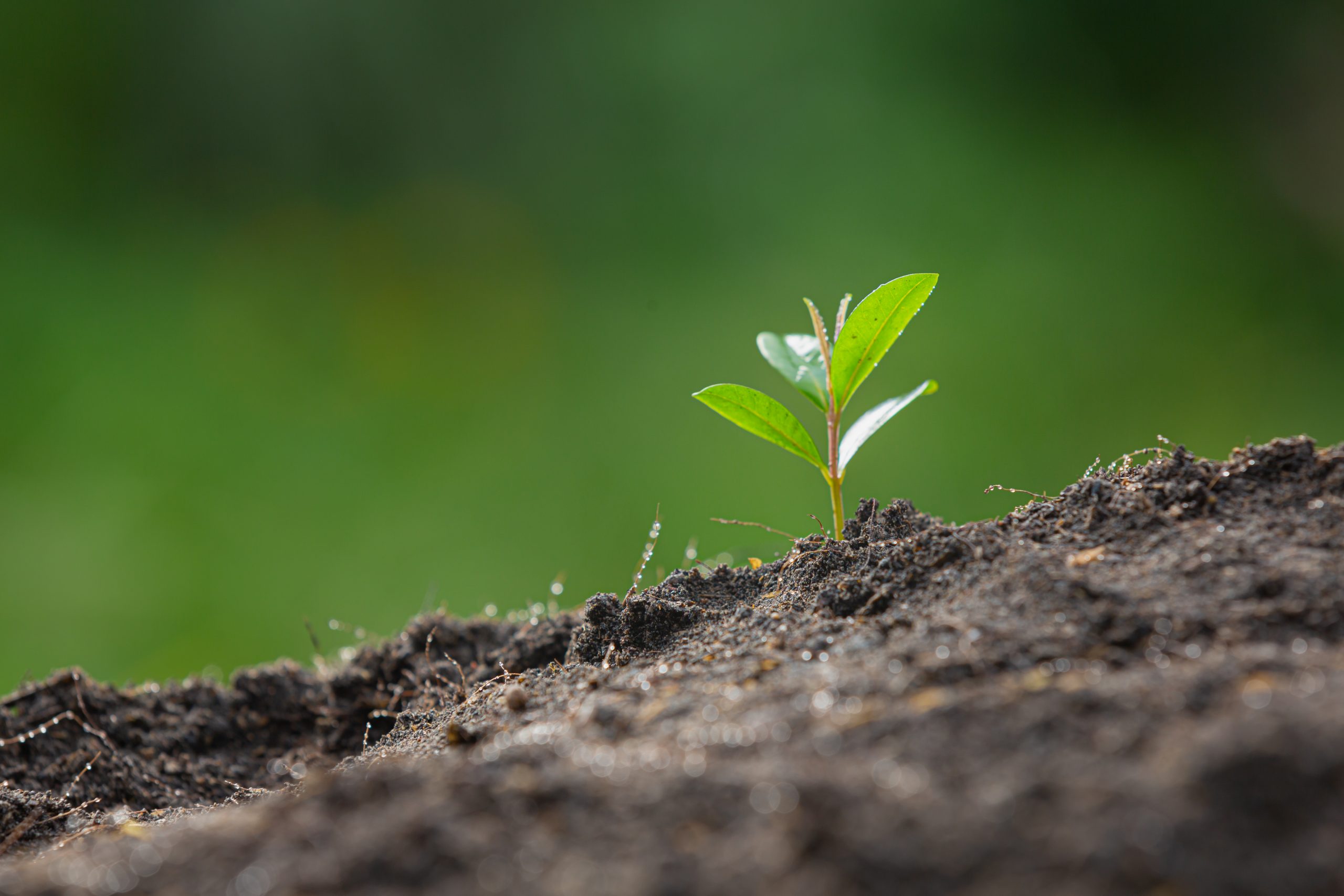 Reflexiones iniciales en torno a la consciencia de finitud – Grupo NEOMA